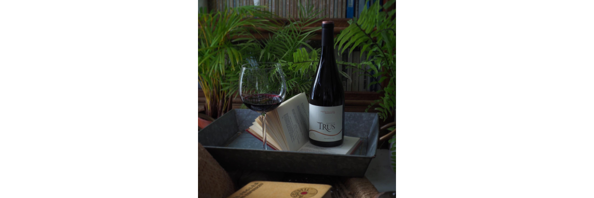 Spanischer Rotwein Vino Tinto
