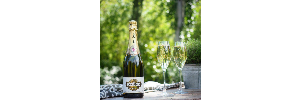 Cava, Corpinnat & Schaumwein