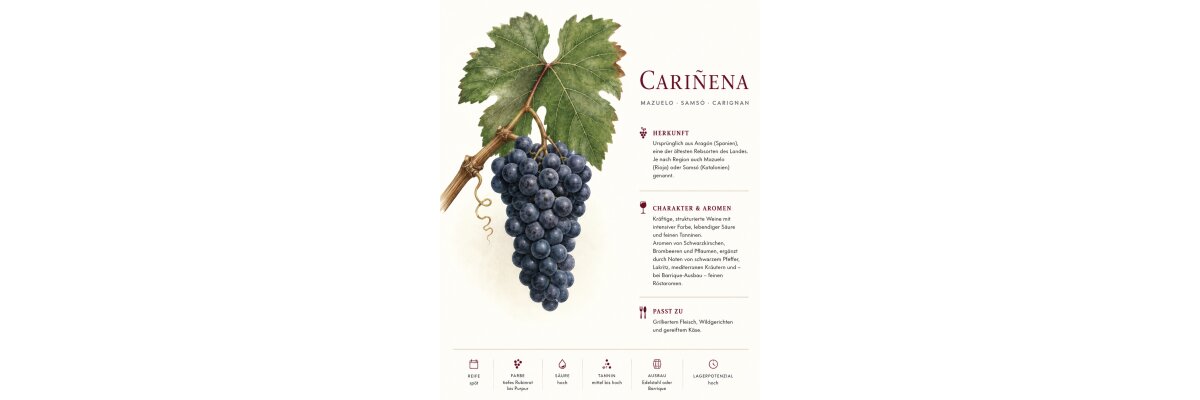 Cari&ntilde;ena

Cari&ntilde;ena ist eine...