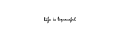 Logo LIQUEURFUL