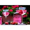 Berrypickers Gin 38% Vol., 70cl