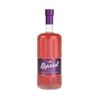 Gin Kapriol Sloe Artigianale Italiano 28.7% Vol., 70cl