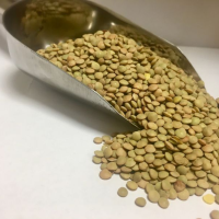 Kleine Linsen Lentejas Eston La Salmantina im Sack 1 KG