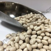 Weisse Bohnen Alubia Arrocina La Salmantina im 1 Kg Sack