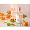 Clemen Gin Ecologico BIO 43% Vol., 70cl