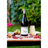 Trus Crianza MAGNUM, Ribera del Duero DO 2020, 150cl