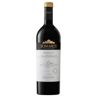 Sommos Merlot Coleccion, Somontano DO 2020, 75cl