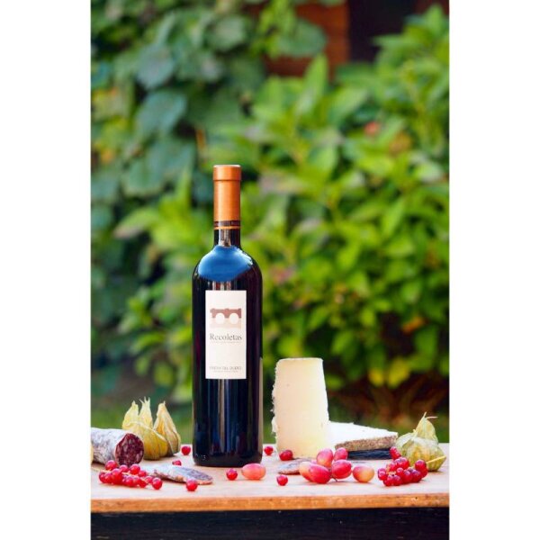 Amaro de Recoletas MAGNUM VS, Ribera del Duero DO 2022, 150cl
