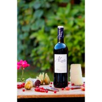 Alzate Crianza, Rioja DOCa 2022, 75cl