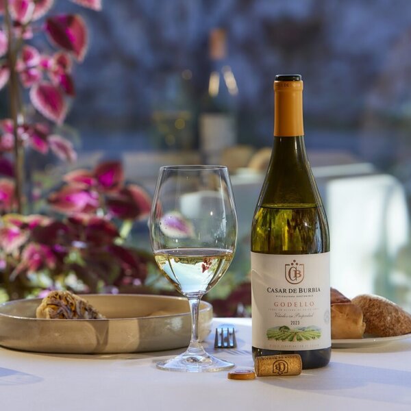 Casar de Burbia Godello, Bierzo DO 2025, 75cl