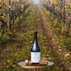 Casar de Burbia Hombros, Bierzo DO 2022, 75cl