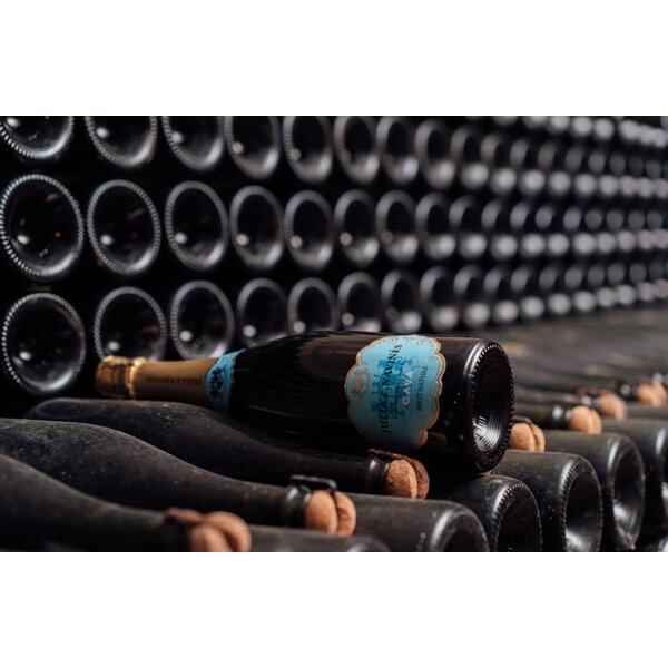 Cava Mini Julia & Navines BRUT NATURE BIO, Cava DO, 37.5cl
