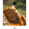 Zitronenhonig Tesela Natura, 320g