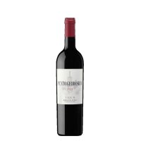 Trus PUNTO GEODÉSICO, Ribera del Duero DO 2022, 75cl